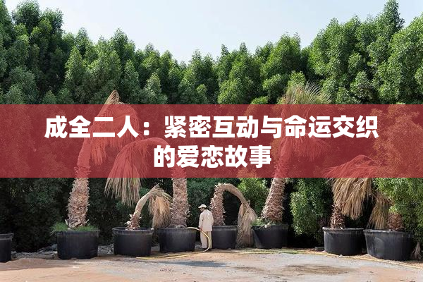 成全二人：紧密互动与命运交织的爱恋故事