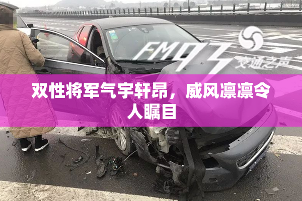 双性将军气宇轩昂，威风凛凛令人瞩目