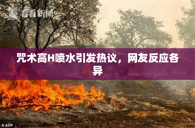 咒术高H喷水引发热议，网友反应各异