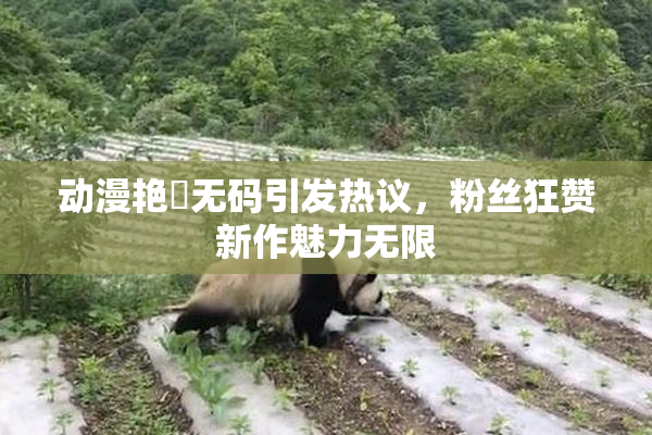 动漫艳鉧无码引发热议，粉丝狂赞新作魅力无限