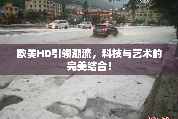 欧美HD引领潮流，科技与艺术的完美结合！