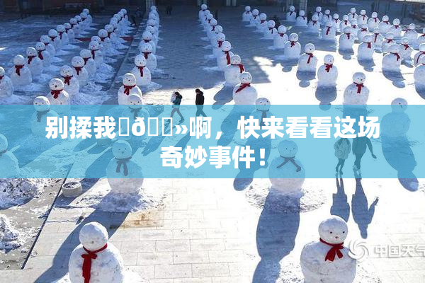 别揉我‌🐻啊，快来看看这场奇妙事件！