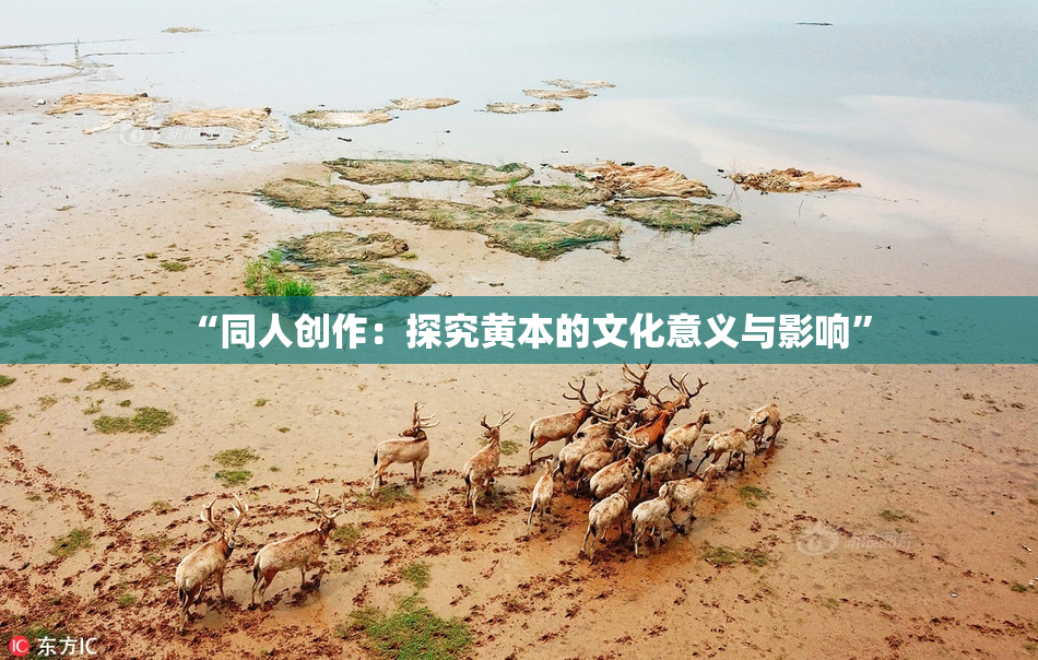 “同人创作：探究黄本的文化意义与影响”