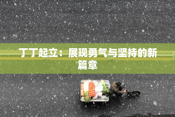 丁丁起立：展现勇气与坚持的新篇章