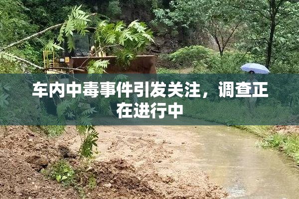 车内中毒事件引发关注，调查正在进行中