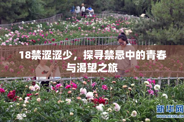 18禁涩涩少，探寻禁忌中的青春与渴望之旅