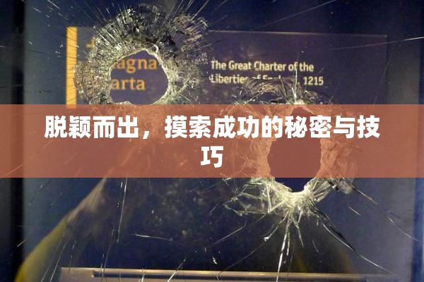 脱颖而出，摸索成功的秘密与技巧