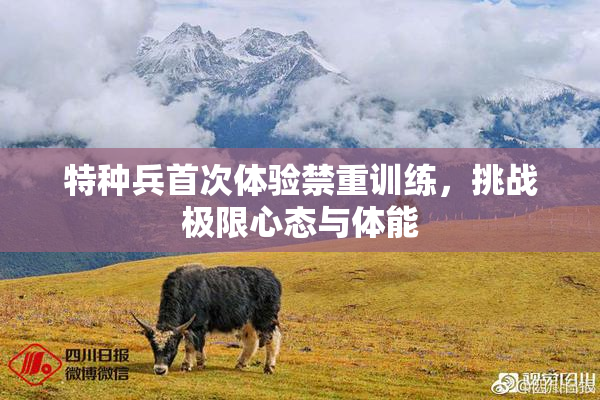 特种兵首次体验禁重训练，挑战极限心态与体能