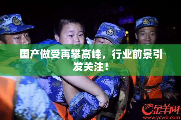 国产做受再攀高峰，行业前景引发关注！