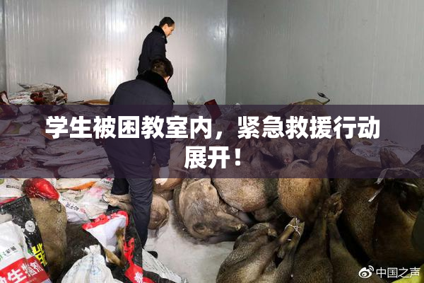 学生被困教室内，紧急救援行动展开！