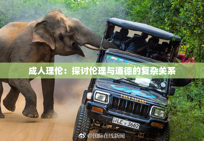 成人理伦：探讨伦理与道德的复杂关系