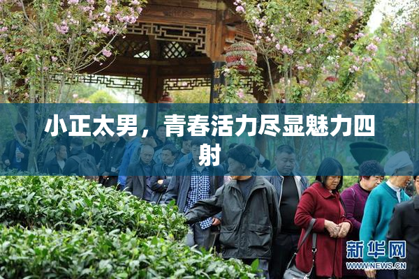 小正太男，青春活力尽显魅力四射