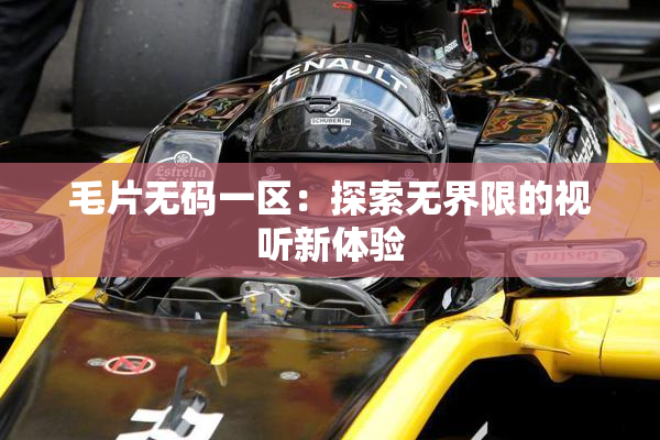 毛片无码一区：探索无界限的视听新体验