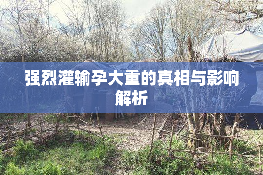 强烈灌输孕大重的真相与影响解析
