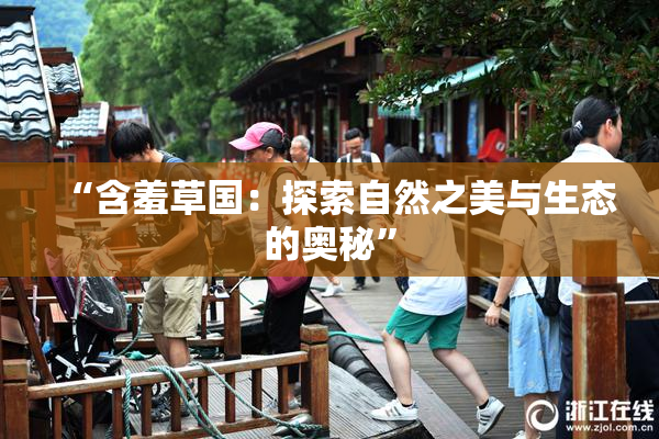“含羞草国：探索自然之美与生态的奥秘”