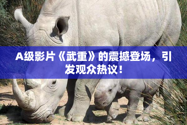 A级影片《武重》的震撼登场，引发观众热议！