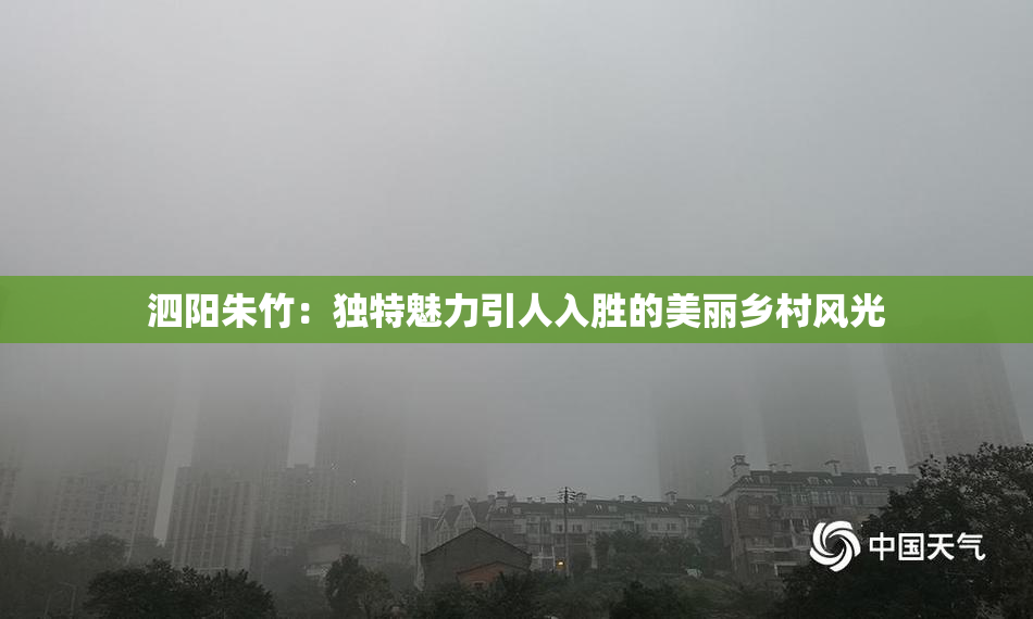 泗阳朱竹：独特魅力引人入胜的美丽乡村风光