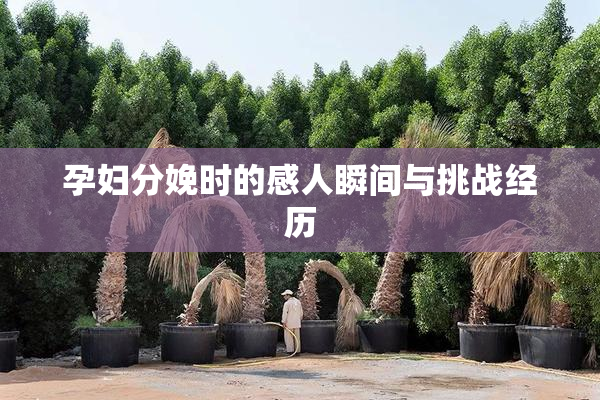 孕妇分娩时的感人瞬间与挑战经历