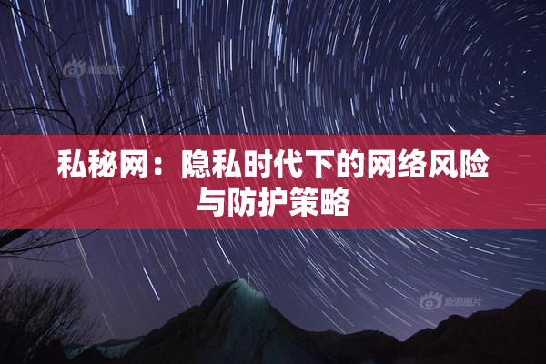 私秘网：隐私时代下的网络风险与防护策略