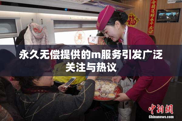 永久无偿提供的m服务引发广泛关注与热议