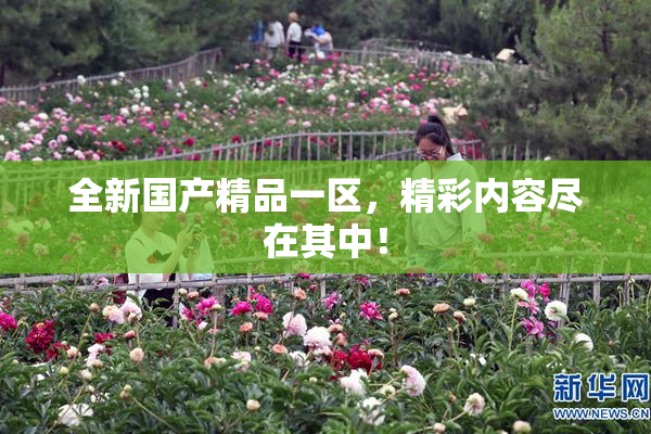 全新国产精品一区，精彩内容尽在其中！