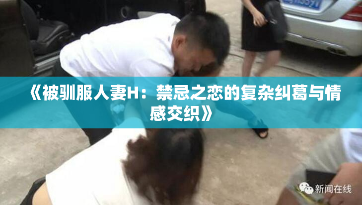 《被驯服人妻H：禁忌之恋的复杂纠葛与情感交织》