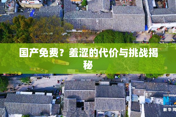 国产免费？羞涩的代价与挑战揭秘