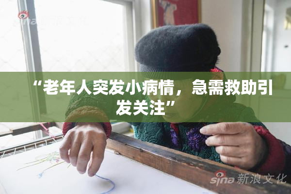 “老年人突发小病情，急需救助引发关注”