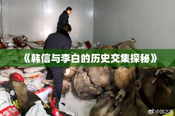 《韩信与李白的历史交集探秘》