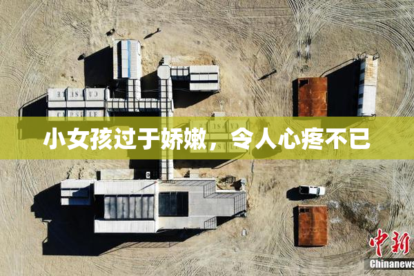 小女孩过于娇嫩，令人心疼不已