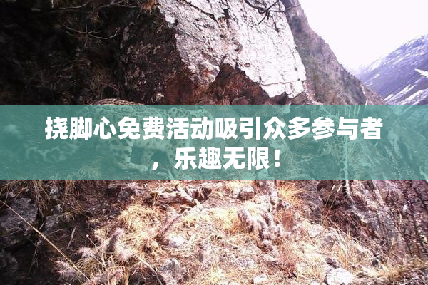 挠脚心免费活动吸引众多参与者，乐趣无限！