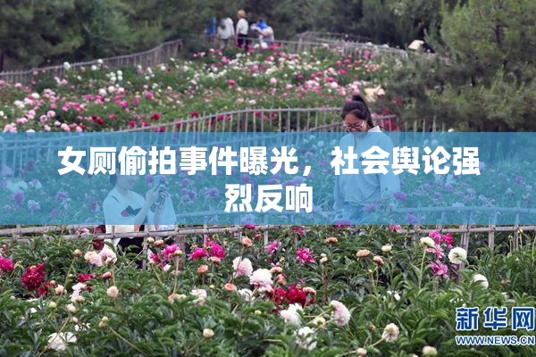 女厕偷拍事件曝光，社会舆论强烈反响