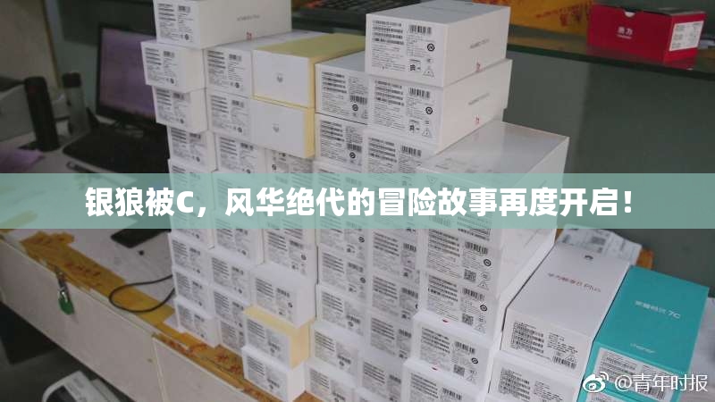 银狼被C，风华绝代的冒险故事再度开启！