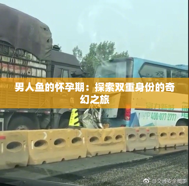 男人鱼的怀孕期：探索双重身份的奇幻之旅