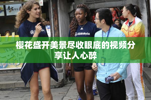 樱花盛开美景尽收眼底的视频分享让人心醉