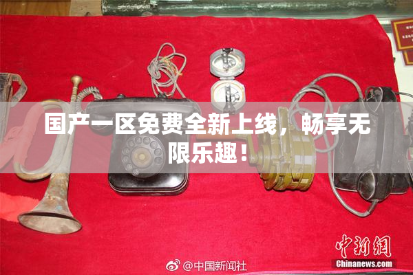 国产一区免费全新上线，畅享无限乐趣！