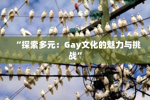 “探索多元：Gay文化的魅力与挑战”
