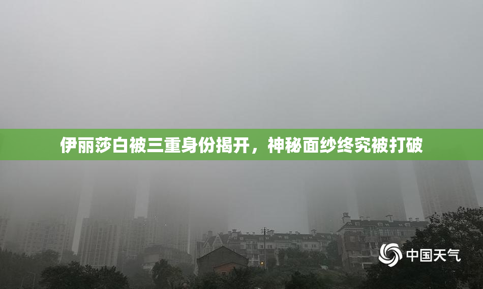 伊丽莎白被三重身份揭开，神秘面纱终究被打破