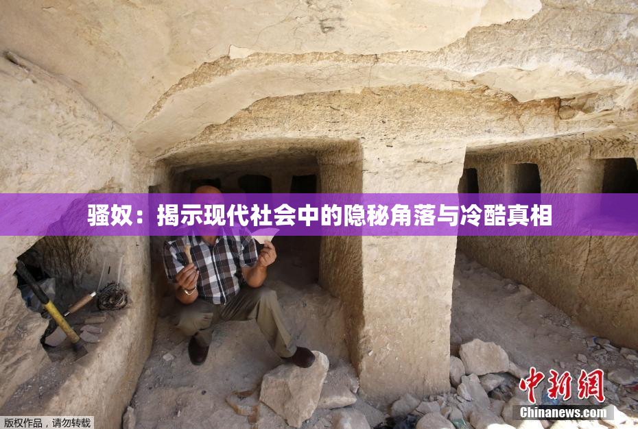 骚奴：揭示现代社会中的隐秘角落与冷酷真相
