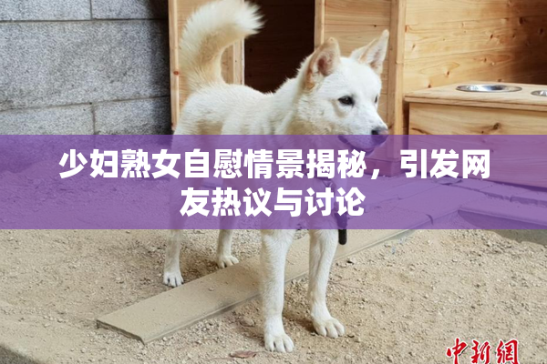 少妇熟女自慰情景揭秘，引发网友热议与讨论