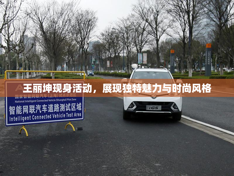 王丽坤现身活动，展现独特魅力与时尚风格