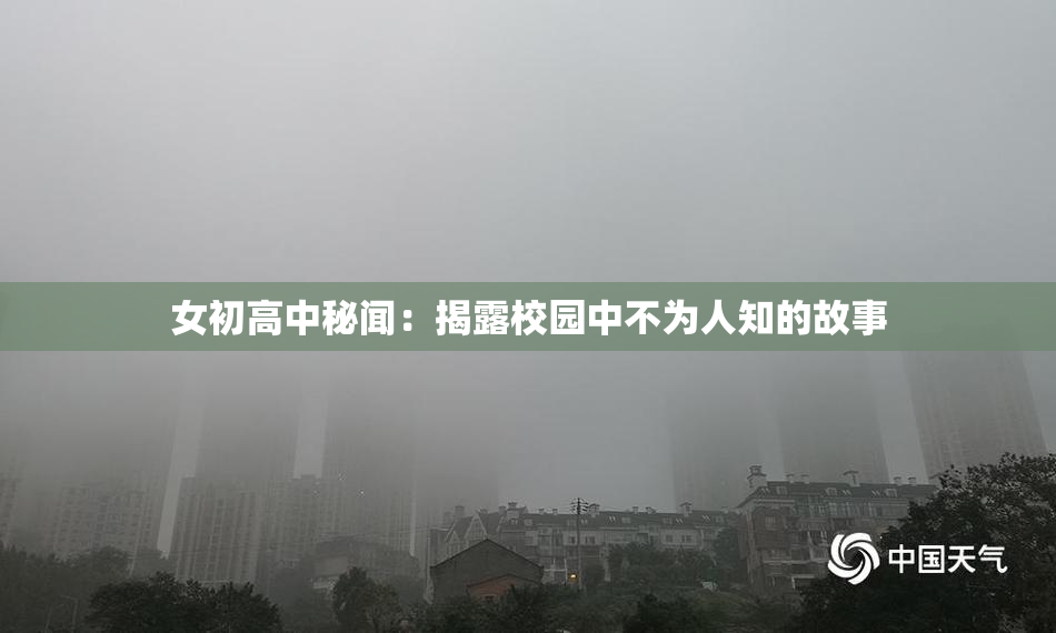 女初高中秘闻：揭露校园中不为人知的故事