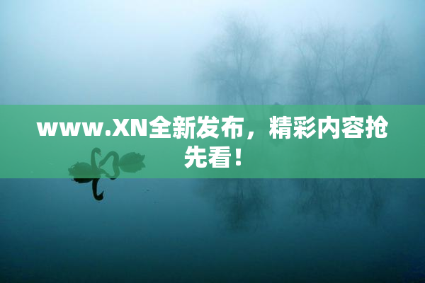 www.XN全新发布，精彩内容抢先看！