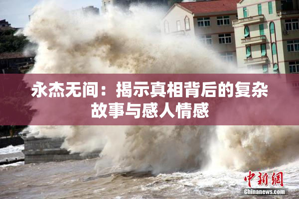 永杰无间：揭示真相背后的复杂故事与感人情感