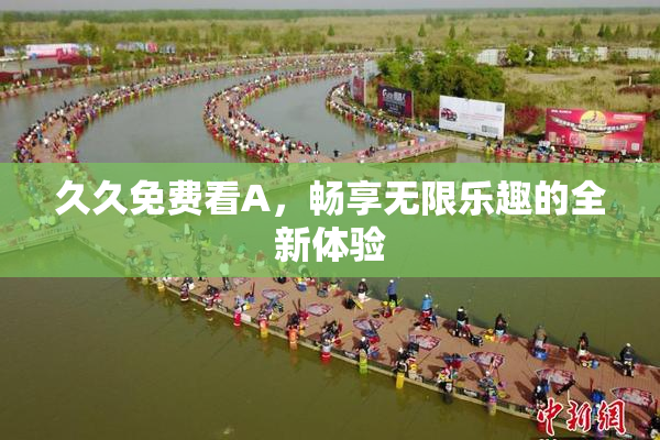 久久免费看A，畅享无限乐趣的全新体验
