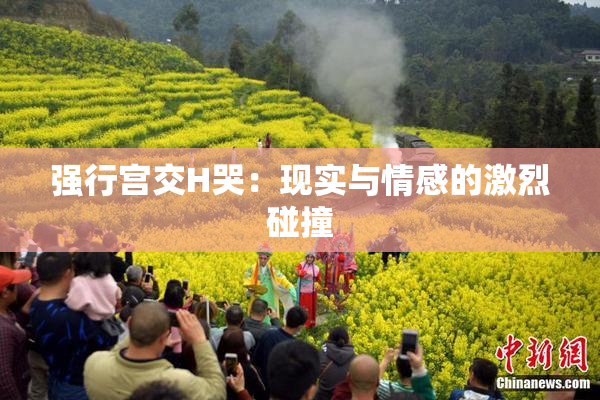 强行宫交H哭：现实与情感的激烈碰撞