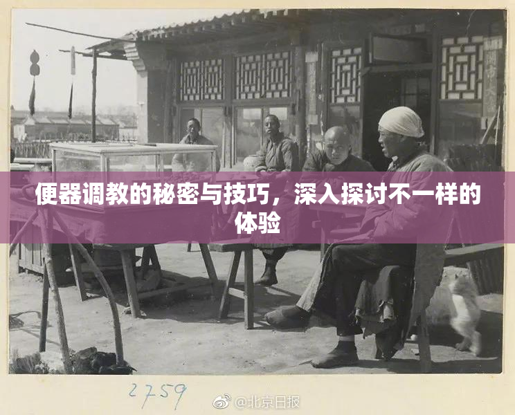 便器调教的秘密与技巧，深入探讨不一样的体验