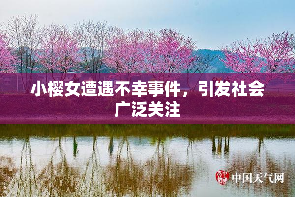 小樱女遭遇不幸事件，引发社会广泛关注