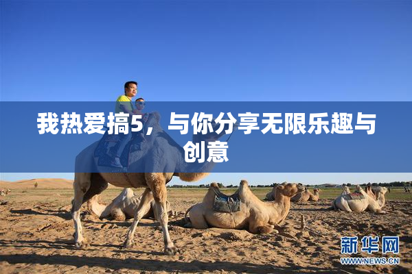 我热爱搞5，与你分享无限乐趣与创意