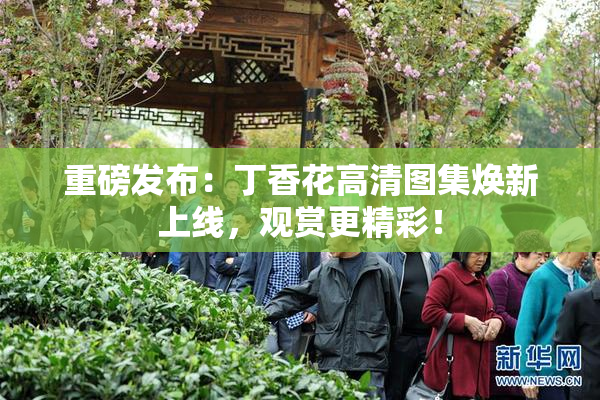 重磅发布：丁香花高清图集焕新上线，观赏更精彩！